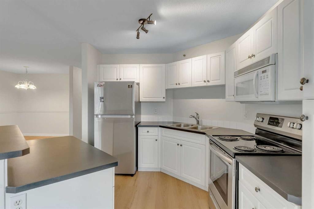 307-1307 Valleyview Park Se, Calgary, AB - Indoor Photo Showing Kitchen With Stainless Steel Kitchen With Double Sink