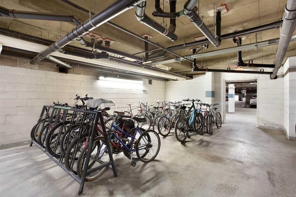 239-8535 Bonaventure Drive Se, Calgary, AB - Indoor Photo Showing Garage