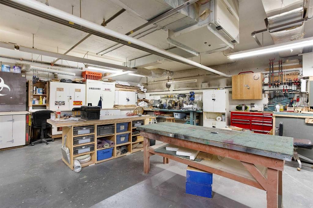 239-8535 Bonaventure Drive Se, Calgary, AB - Indoor Photo Showing Garage