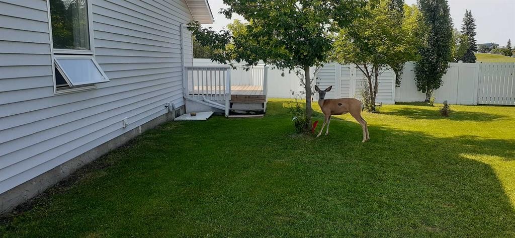 3924 56A, Camrose, AB - Outdoor