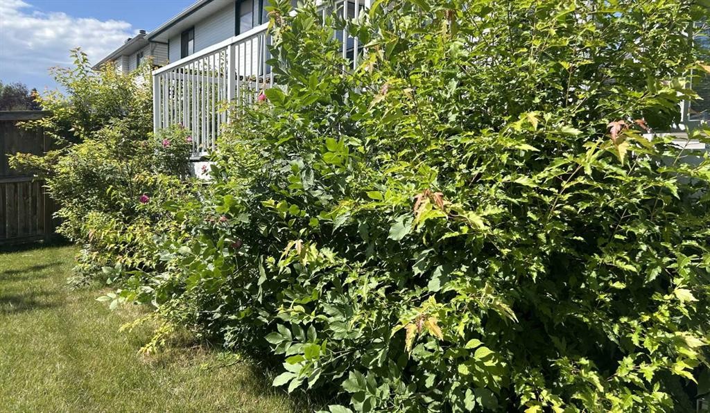 61 Shannon Crescent Sw, Calgary, AB - Outdoor