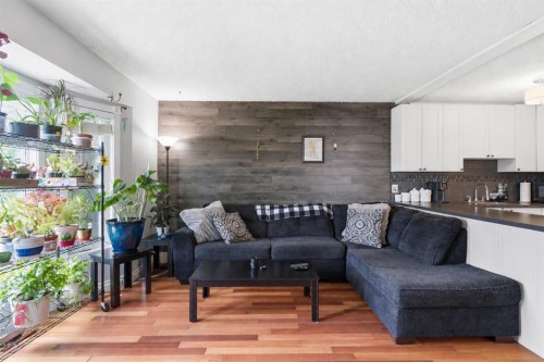 4227 49 Street Ne, Calgary, AB - Indoor Photo Showing Living Room