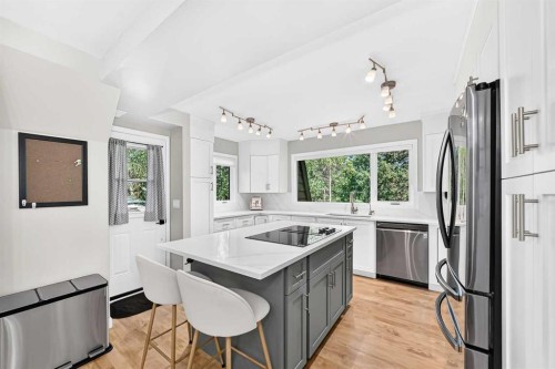 9120 48 Avenue Nw, Calgary, AB - Indoor Photo Showing Kitchen