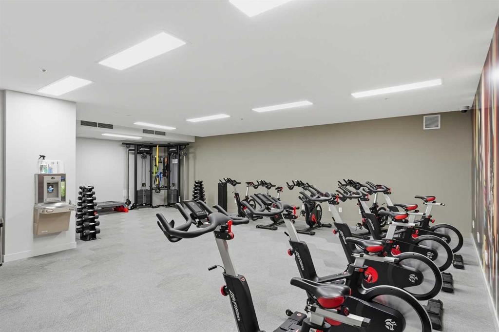 628-88 9 Street Ne, Calgary, AB - Indoor Photo Showing Gym Room