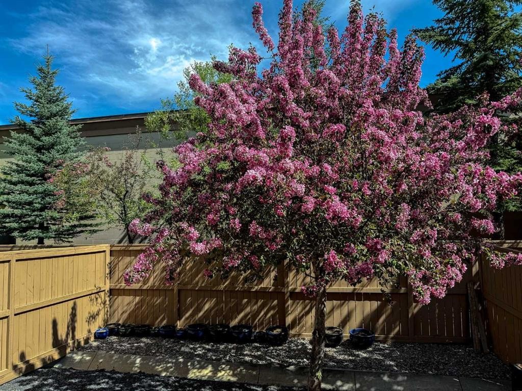93 Cranleigh Heath Se, Calgary, AB - Outdoor