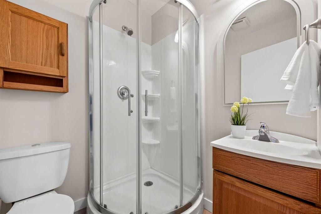 19 Macewan Meadow Crescent Nw, Calgary, AB - Indoor Photo Showing Bathroom