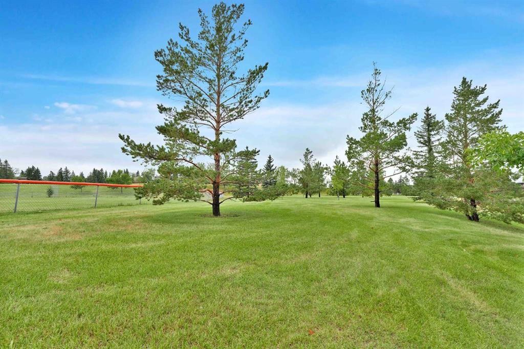 60 Beddington Drive Ne, Calgary, AB - Outdoor With View