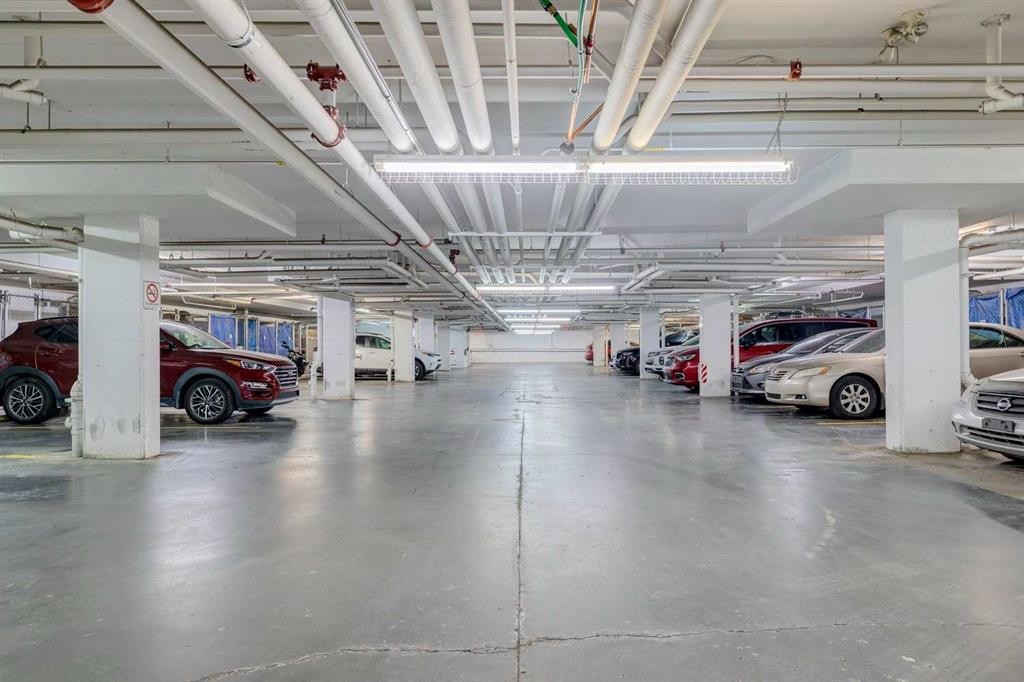 4108-155 Skyview Ranch Way Ne, Calgary, AB - Indoor Photo Showing Garage