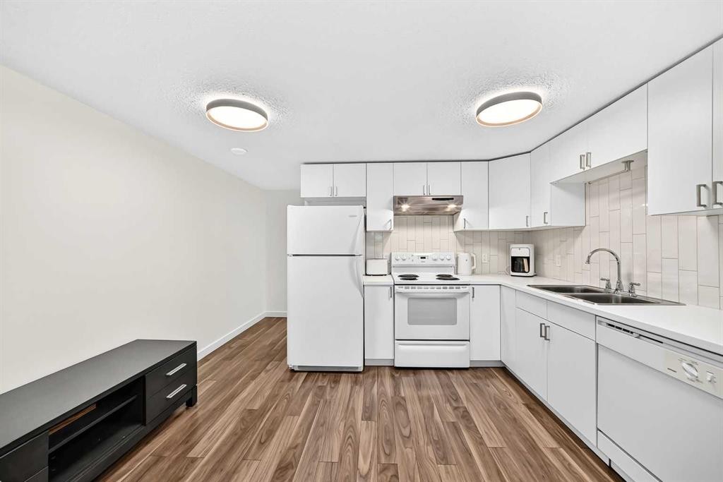 119 Maitland Rise Ne, Calgary, AB - Indoor Photo Showing Kitchen With Double Sink