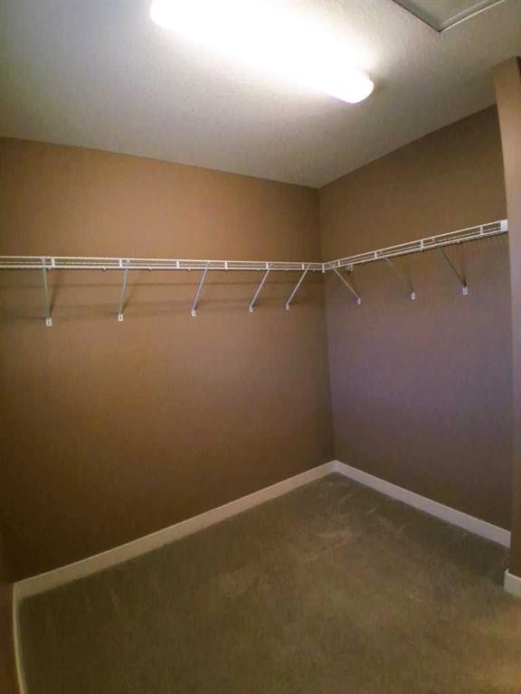 301 Ranch Ridge Meadow, Strathmore, AB - Indoor With Storage