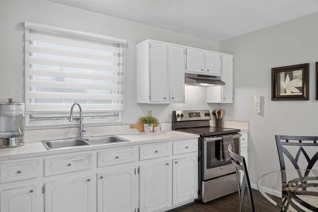 3881 Fonda Way Se, Calgary, AB - Indoor Photo Showing Kitchen With Double Sink