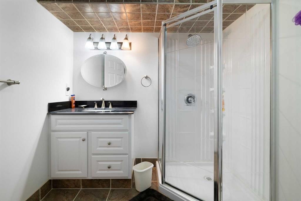 100 Dovista Court Se, Calgary, AB - Indoor Photo Showing Bathroom