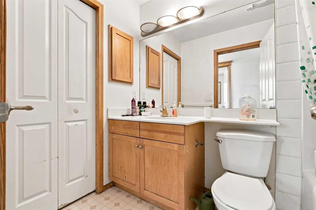 162 Taradale Drive Ne, Calgary, AB - Indoor Photo Showing Bathroom