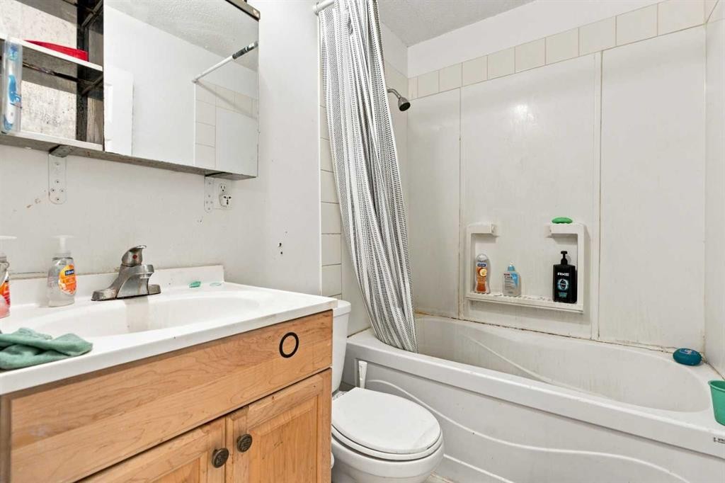 162 Taradale Drive Ne, Calgary, AB - Indoor Photo Showing Bathroom