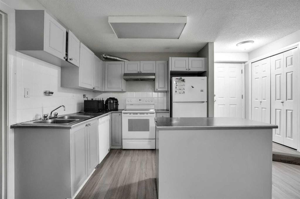 2003 62 Avenue Se, Calgary, AB - Indoor Photo Showing Kitchen With Double Sink