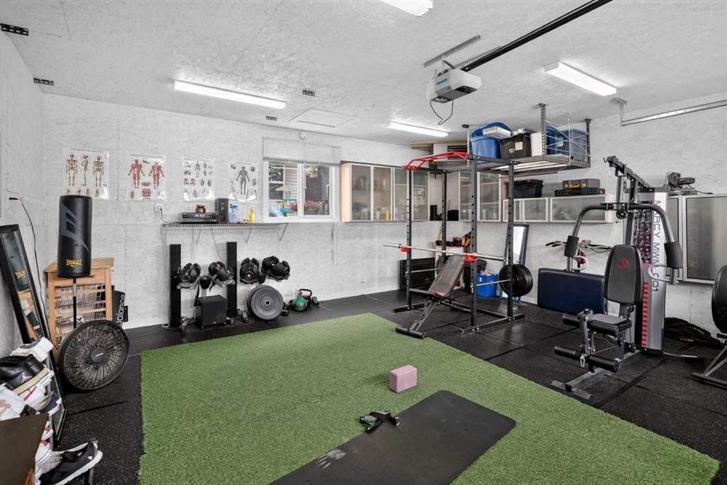 268 Rainbow Falls Green, Chestermere, AB - Indoor Photo Showing Garage