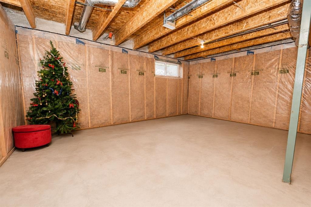 146 Skyview Point Crescent Ne, Calgary, AB - Indoor Photo Showing Basement