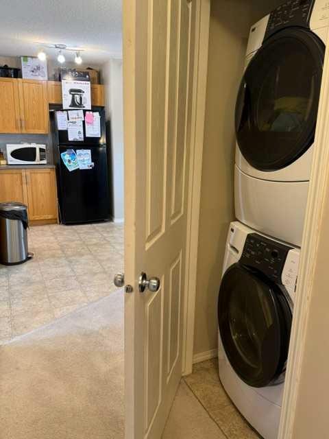 270 Saddlebrook Point Ne, Calgary, AB - Indoor Photo Showing Laundry Room