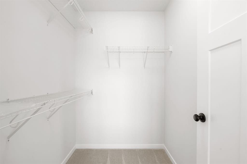 45 Willow Green Way, Cochrane, AB - Indoor With Storage