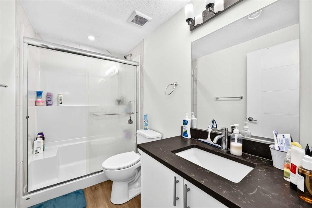 8 Skyview Point Terrace Ne, Calgary, AB - Indoor Photo Showing Bathroom
