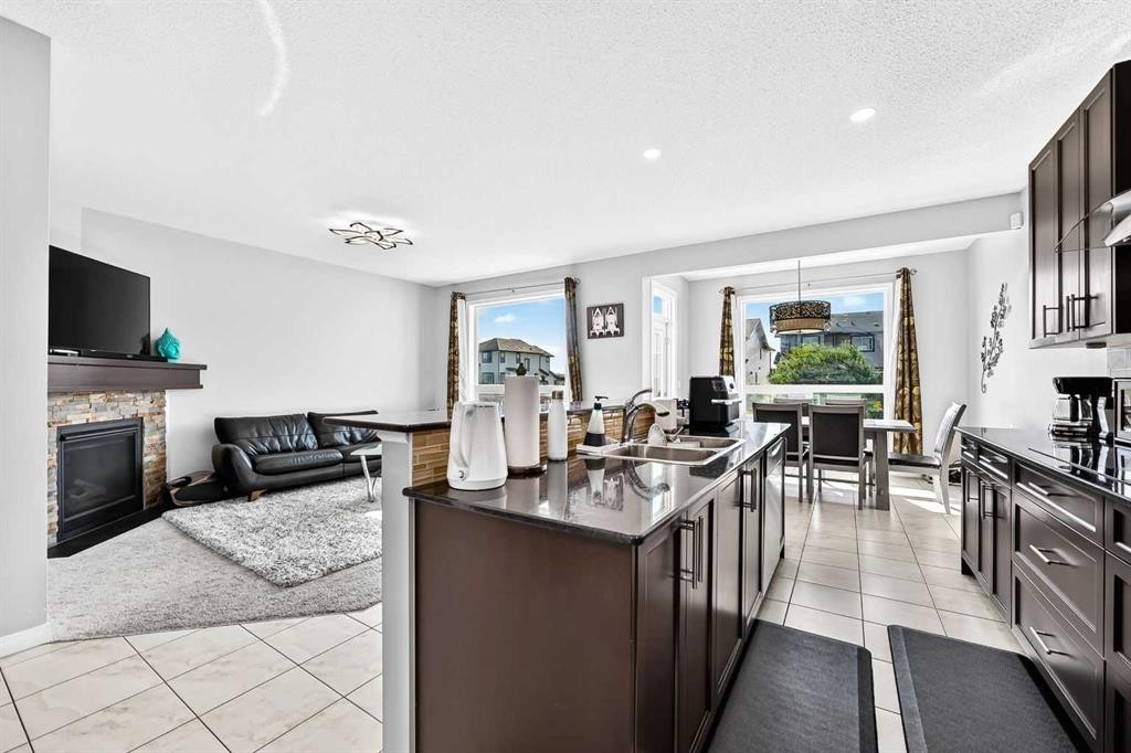 8 Skyview Point Terrace Ne, Calgary, AB - Indoor With Fireplace