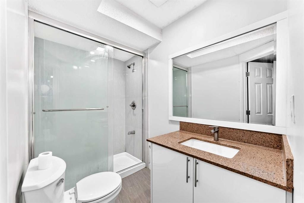 218 Saddlefield Place Ne, Calgary, AB - Indoor Photo Showing Bathroom