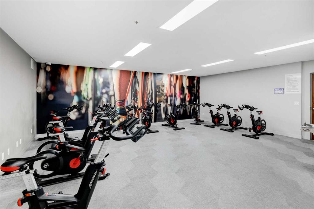 422-88 9 Street Ne, Calgary, AB - Indoor Photo Showing Gym Room