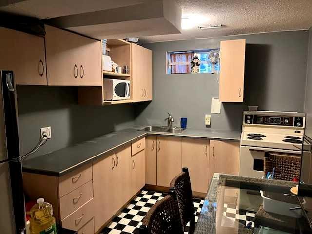 115 Maunsell Close Ne, Calgary, AB - Indoor Photo Showing Kitchen With Double Sink
