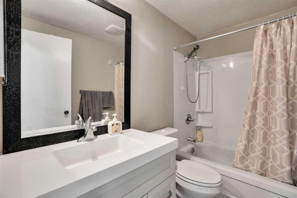 5620 Temple Drive Ne, Calgary, AB - Indoor Photo Showing Bathroom