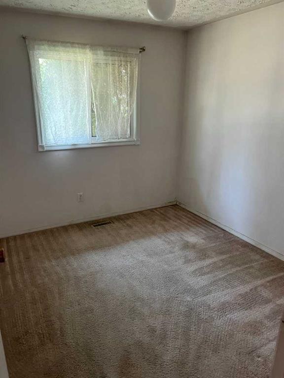 352 Malvern Close Ne, Calgary, AB - Indoor Photo Showing Other Room