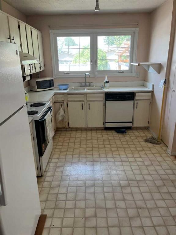 352 Malvern Close Ne, Calgary, AB - Indoor Photo Showing Kitchen With Double Sink