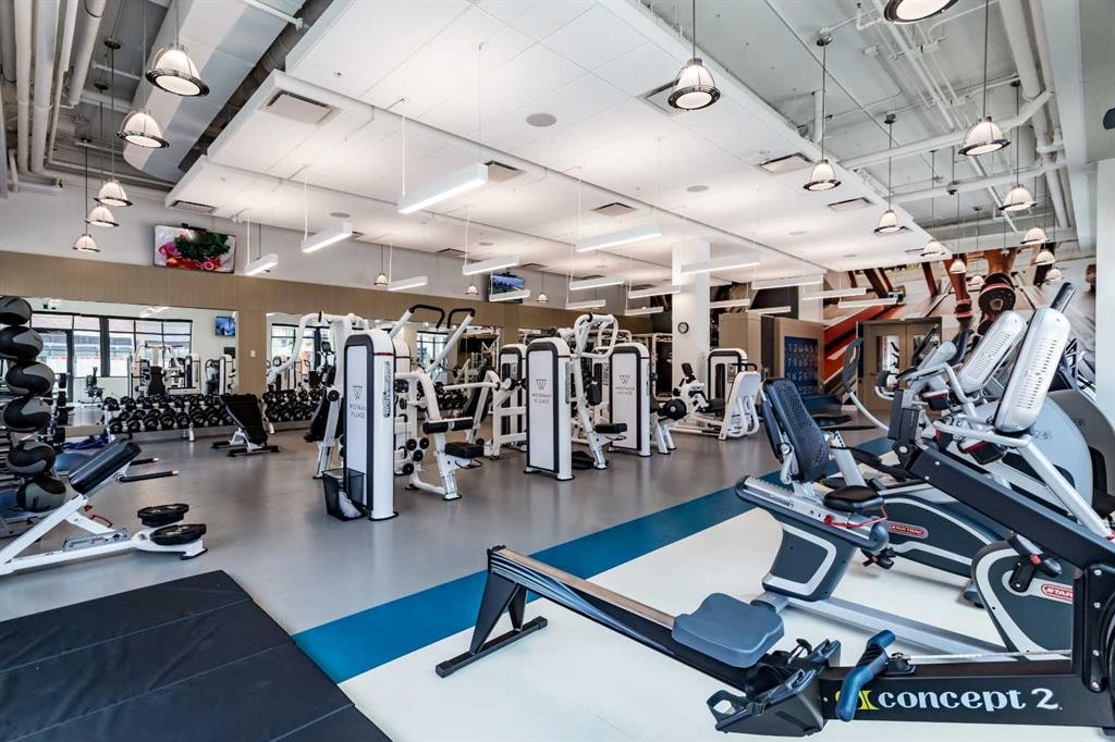 219-12 Mahogany Path Se, Calgary, AB - Indoor Photo Showing Gym Room
