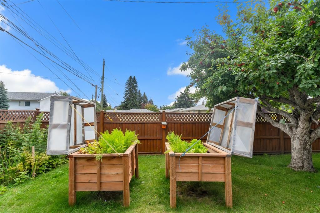 2204 Halifax Crescent Nw, Calgary, AB - Outdoor