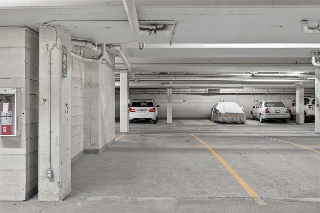 116-790 Kingsmere Crescent Sw, Calgary, AB - Indoor Photo Showing Garage