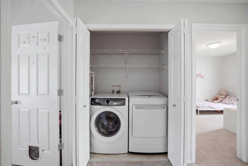 47 Bridlewood View Sw, Calgary, AB - Indoor Photo Showing Laundry Room