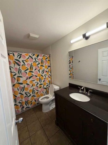 116 Mckerrell Close Se, Calgary, AB - Indoor Photo Showing Bathroom