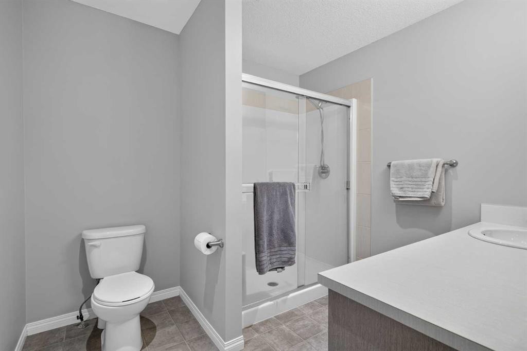 52 Saddlestone Drive Ne, Calgary, AB - Indoor Photo Showing Bathroom