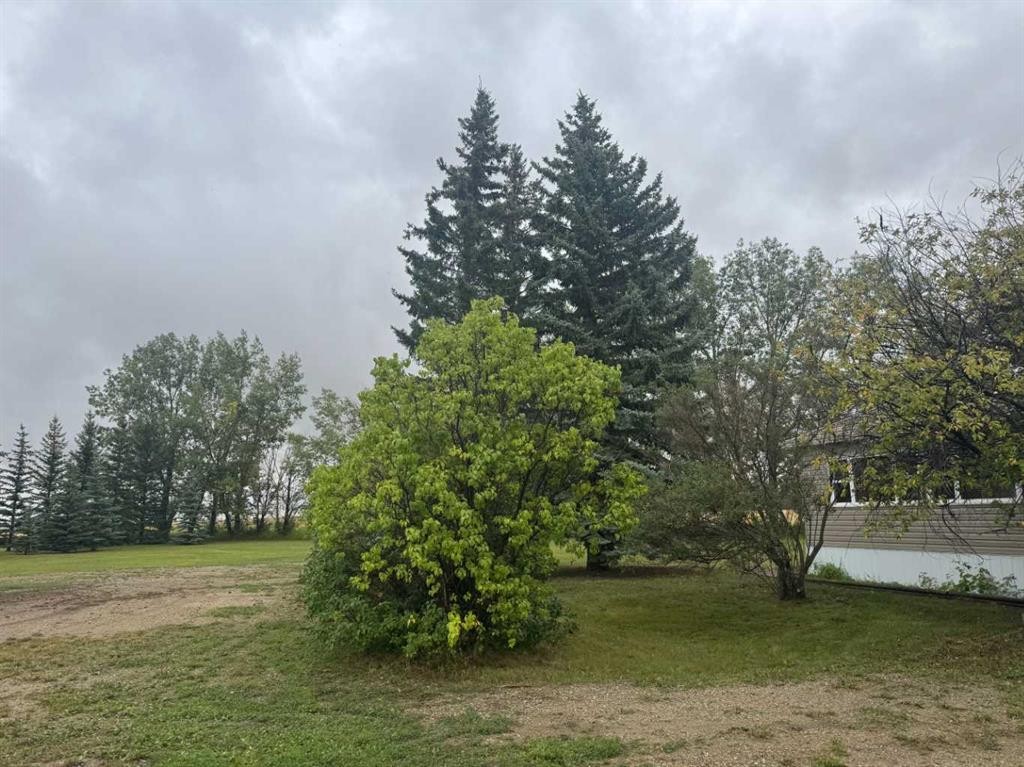 28159 Township Road 300 Township, Rural Mountain View County, AB