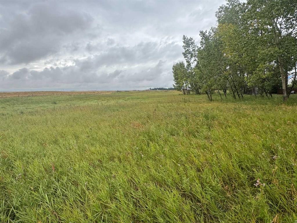 28159 Township Road 300 Township, Rural Mountain View County, AB
