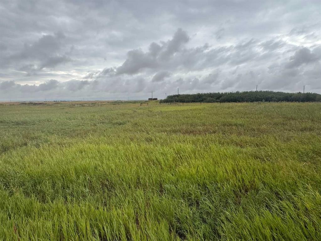 28159 Township Road 300 Township, Rural Mountain View County, AB