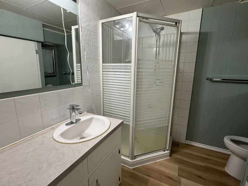 4312 45 Street Sw, Calgary, AB - Indoor Photo Showing Bathroom