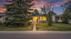 315 Thistle Way Strathmore, AB T1P 1C7