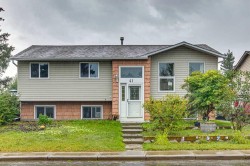 41 Brentwood Drive Strathmore, AB T1P 1H9