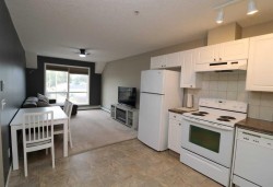 224-1010 Railway Street Crossfield, AB T0T 0S0