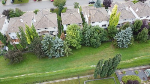 50 Springbank Crescent Sw, Calgary, AB 