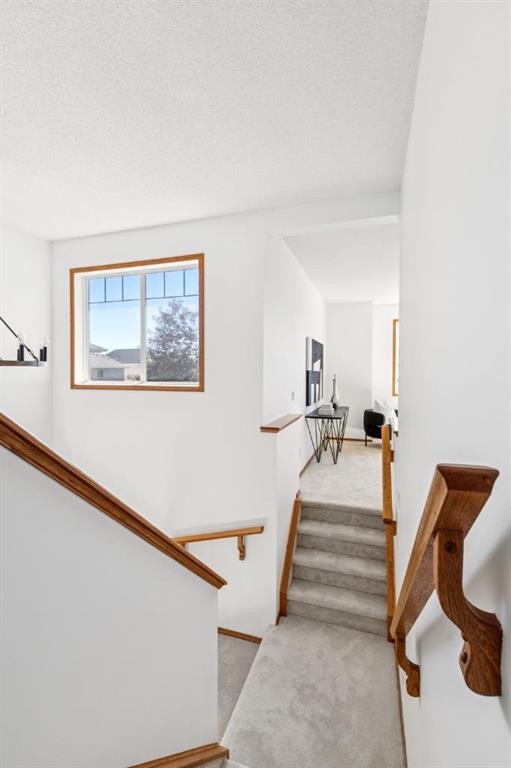 2020 Bridlemeadows Manor Sw, Calgary, AB