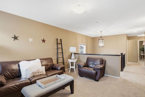 117 Brightonwoods Crescent Se, Calgary, AB 