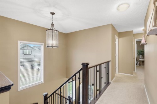 117 Brightonwoods Crescent Se, Calgary, AB 
