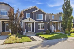 17 Fireside Cove Cochrane, AB T4C 0X3