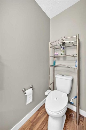 303 Saddlebrook Circle Ne, Calgary, AB 